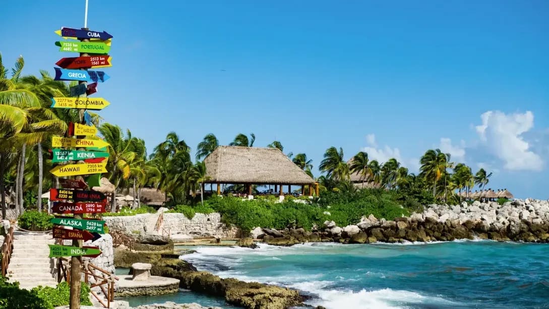suxser.pro 1